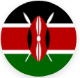 selected_icealion_logo